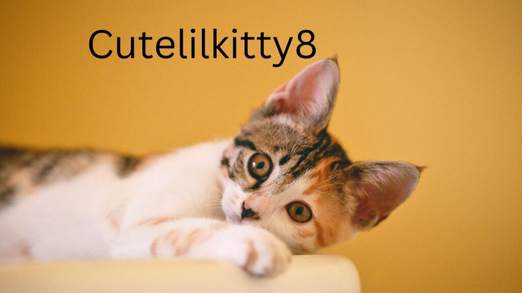 Cutelilkitty8
